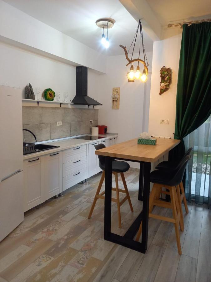 Apartamento Belleview Garden Studio Sinaia Exterior foto