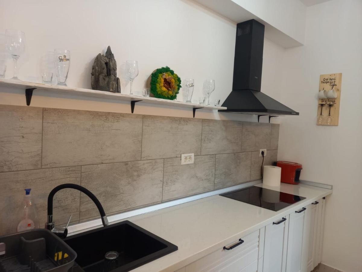 Apartamento Belleview Garden Studio Sinaia Exterior foto