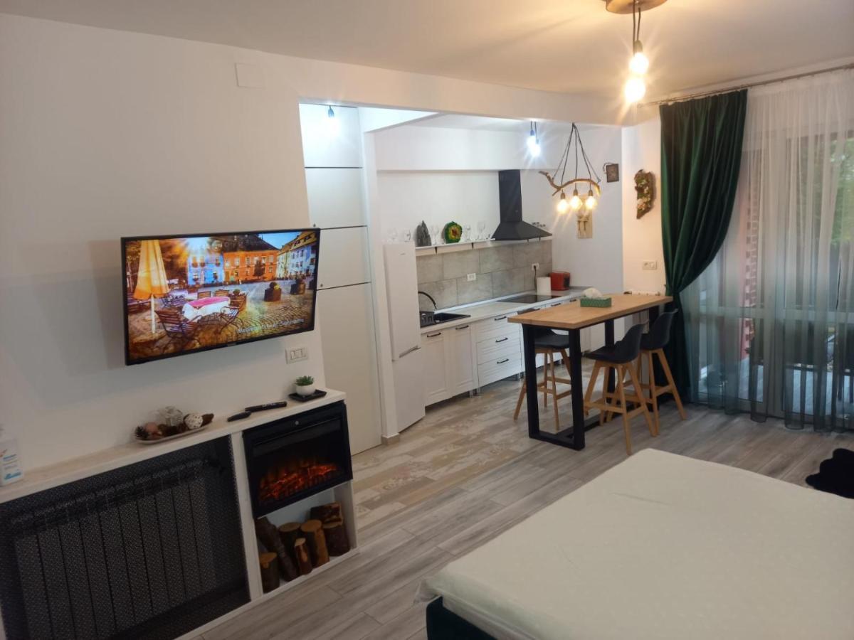 Apartamento Belleview Garden Studio Sinaia Exterior foto