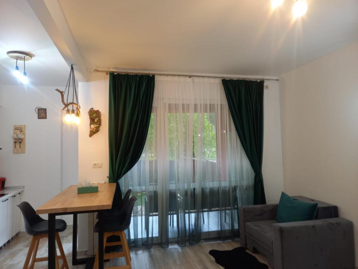Apartamento Belleview Garden Studio Sinaia Exterior foto