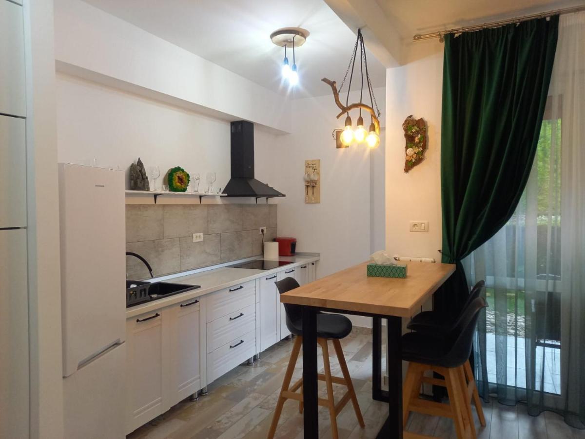 Apartamento Belleview Garden Studio Sinaia Exterior foto