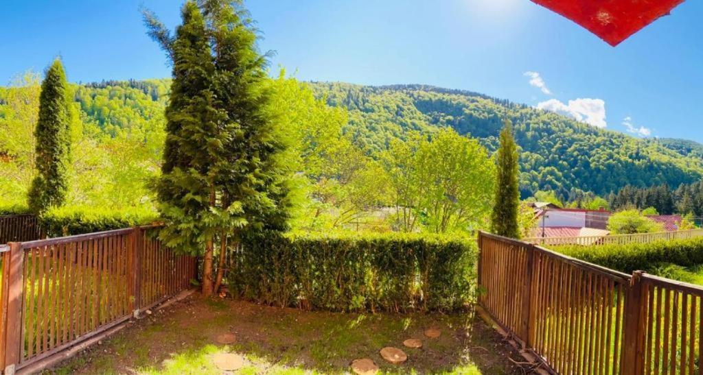 Apartamento Belleview Garden Studio Sinaia Exterior foto
