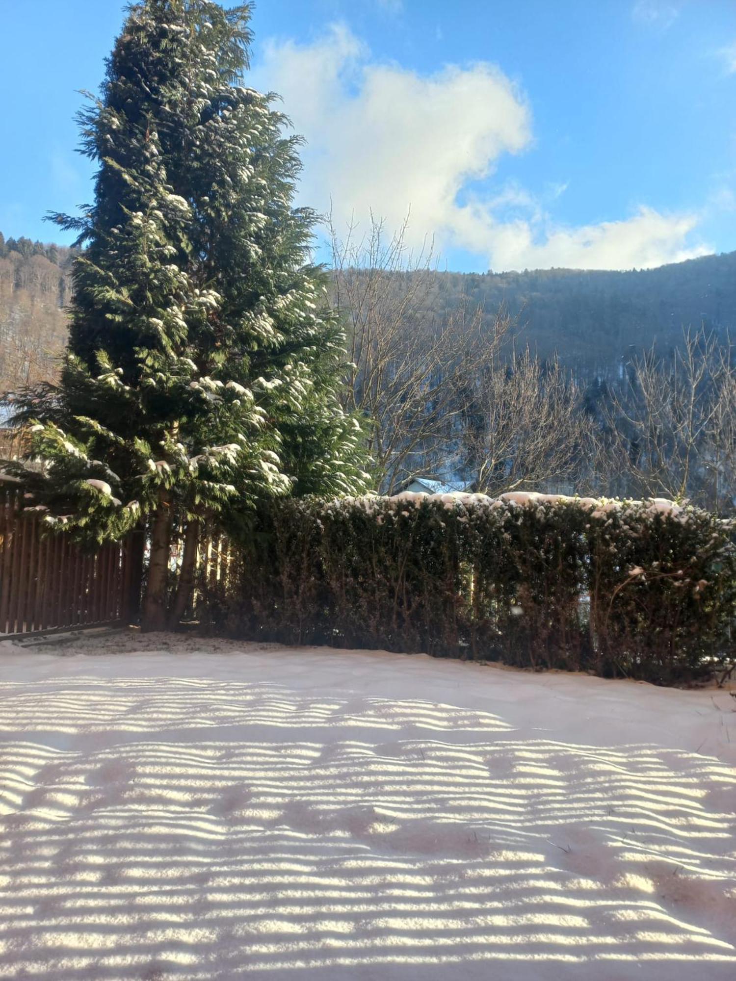 Apartamento Belleview Garden Studio Sinaia Exterior foto
